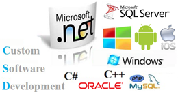 custom software development in Vancouver